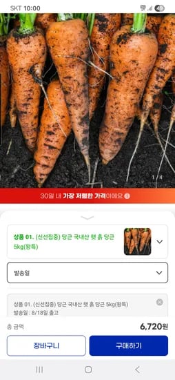 국내산 햇 흙 당근 5kg