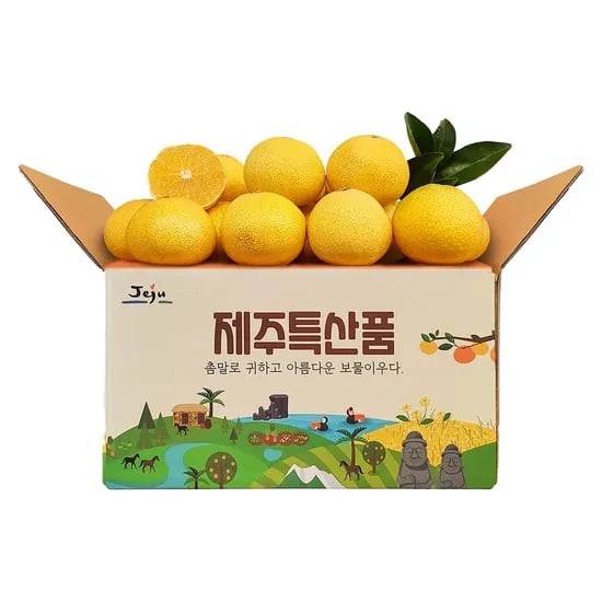 천하일품 제주 황금향 1.5kg 중소과