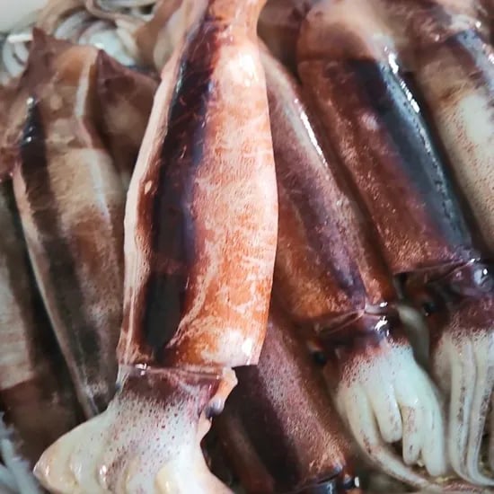 신진도 당일바리 급냉 오징어 1kg (3-4미 내외)