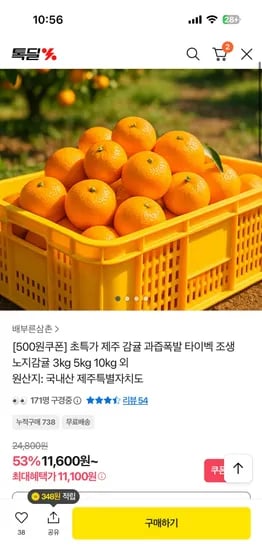 제주 타이벡 감귤 3kg