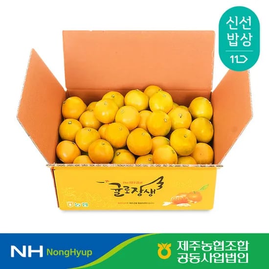 11번가 제주농협 귤로장생 하우스감귤 4.5kg 소과 23270 카카오페이결제시