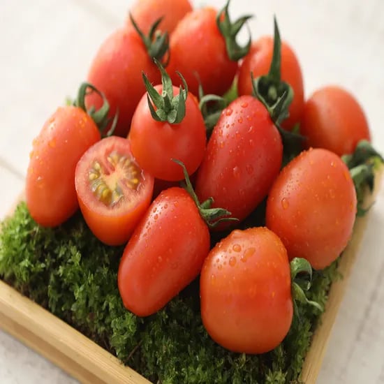 스테비아 대추방울토마토 2kg 9,980원
