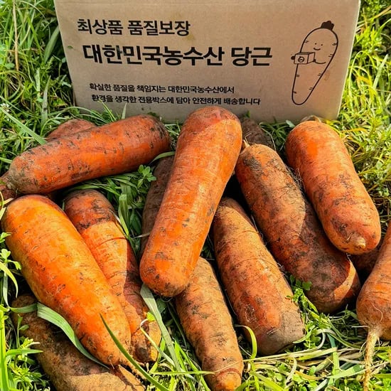 국내산 햇 당근 흙 주스용 쥬스용