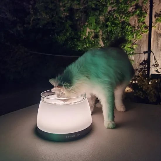 까사미코 블링블링 LED 무선 고양이 강아지 물그릇 밥그릇