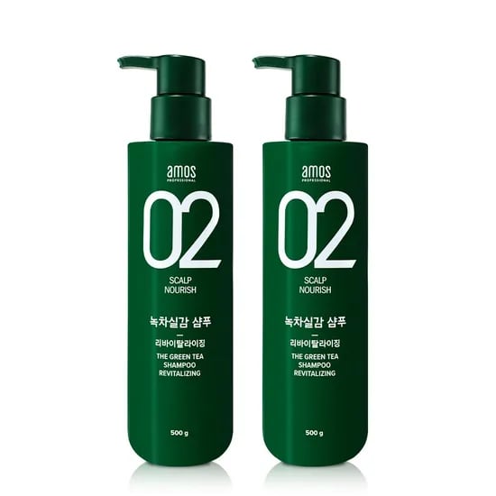 녹차실감 샴푸 리바이탈라이징 500g(지성) 2개