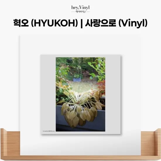 혁오 (HYUKOH) - '사랑으로' (Vinyl)