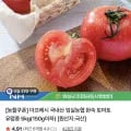 임실농협 완숙 토마토 유럽종 5kg