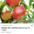 청도 신비복숭아 중소과 1kg (7740원/무배)