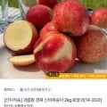 신비복숭아 2kg 로얄과 (14-20과) (페이코 19,052원/무료)