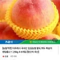 국내산 임실농협 황도,백도 복숭아 랜덤 1.25kg (12,150원/무배)