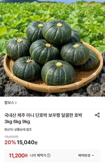 국내산 제주 미니 단호박 6kg 로얄과 (11,00원/무료)2