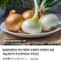 전남 무안 햇양파 조생양파 만생양파 3kg (4,620원/무배)