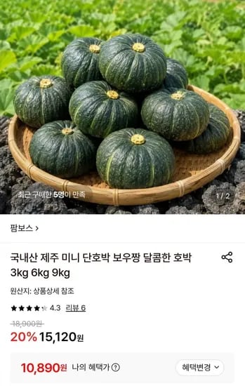 국내산 제주 미니 단호박 로얄과 6kg (0,890원/무료)1