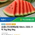 12brix 수박 7kg (16,940원 / 무료)
