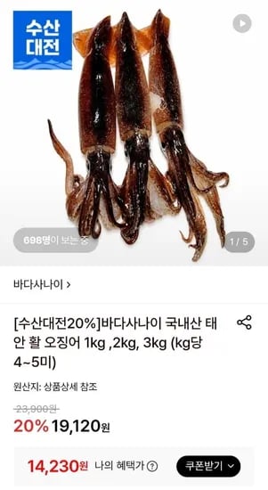 태안 활 오징어 kg 4~5미 (14,230원/무료)1