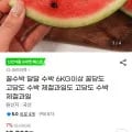 국산 꿀수박 6kg 이상 (11,870원/무료배송)