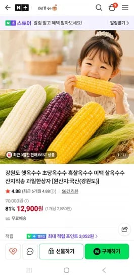 강원도 산지직송 초당옥수수 흑찰옥수수 (1900원17900원/무배)3