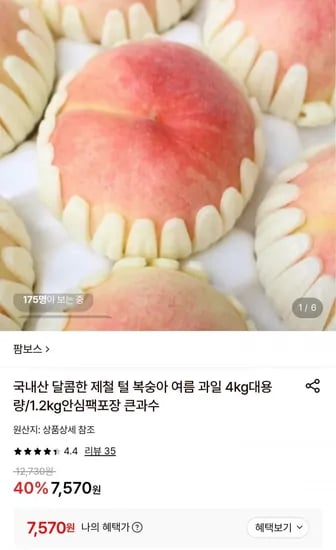 국내산 털복숭아 1.2kg 큰과수 (7,570원/무료)