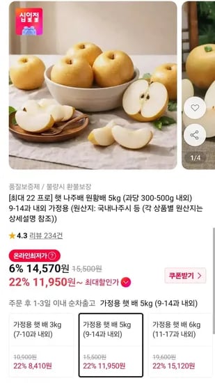 햇 나주배 원황배 5kg 9-14과 내외 (11,950원/무료)