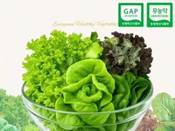 코인딜 무농약 유러피안 모듬 채소 1kg (4,455원/무료)