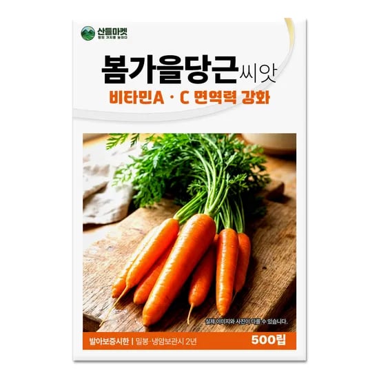 산들마켓 산들봄가을당근씨앗, 500립, 2개