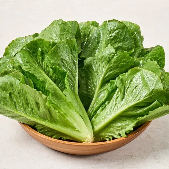 동김제농협 로메인 단품 샐러드, 1kg, 1박스