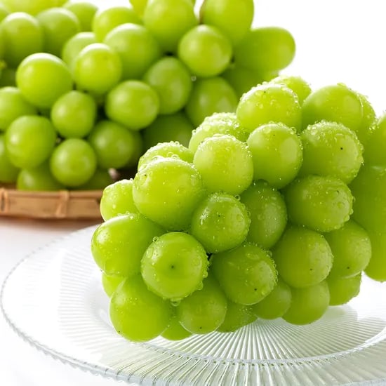 산기슭 샤인머스켓, 2~3수, 1kg