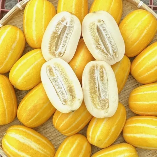 성주참외원예농협 한입과득 성주참외 고당도 가정용 당일수확, 랜덤과, 10kg, 1박스