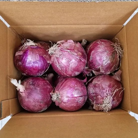 잘 말려 단단한 최상품 무안 자색양파, 소, 10kg, 1box