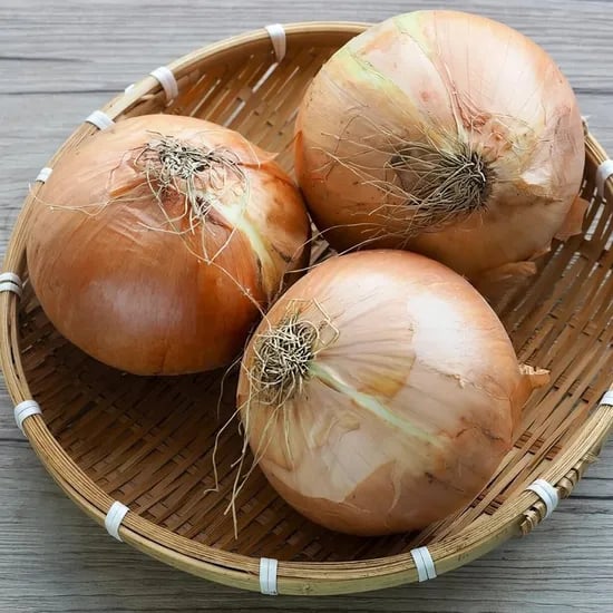 국내산 경북의성 햇양파, 중, 10kg, 1박스