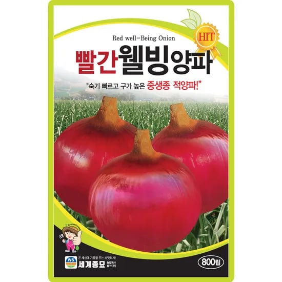세계종묘 빨간웰빙양파, 800립, 1개