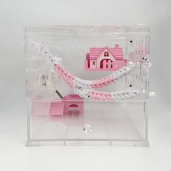양말목 바인 백업, 피그미다람쥐, 파충류, 슈가글라이더, 옐로우, 27cm, 1개
