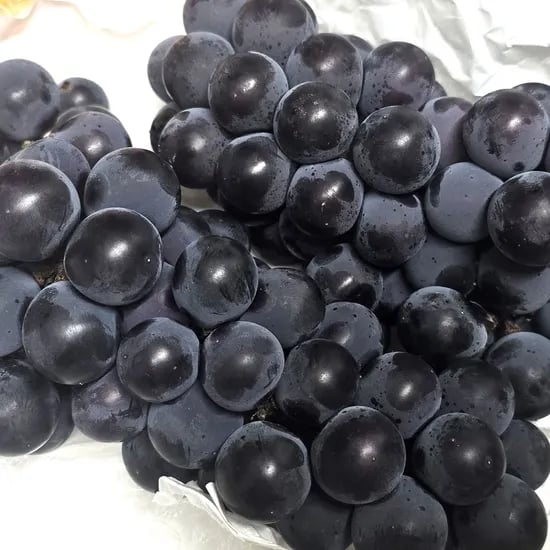 캠벨포도, 2kg, 1박스
