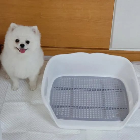 아서아리 강아지 오픈형 평판형 화장실 배변판, 분홍, L, 1개