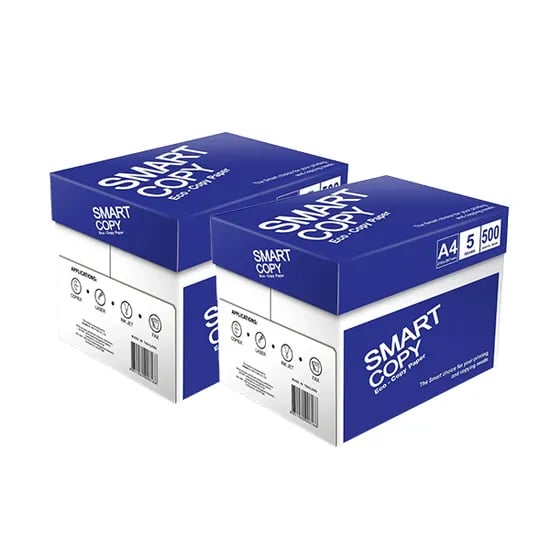 더블에이 스마트카피 A4 복사용지, 75g, 5000매, 2박스
