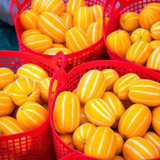 성주 참외 가정용, 5kg