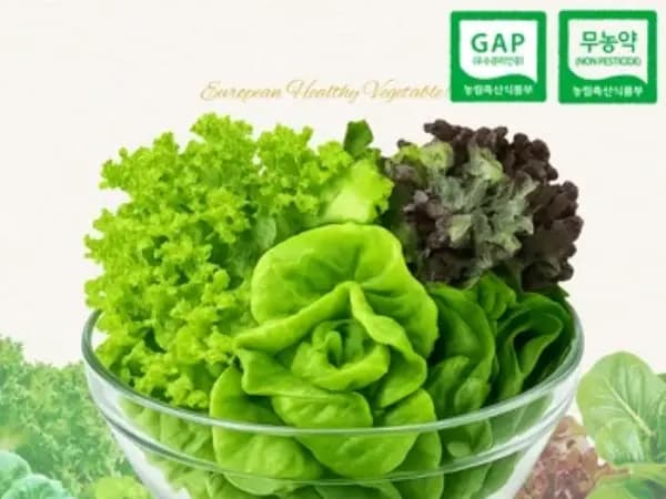코인딜 무농약 유러피안 모듬 채소 1kg (4,455원/무료) 코인딜 무농약 유러피안 모듬 채소 1kg (4,455원/무료)