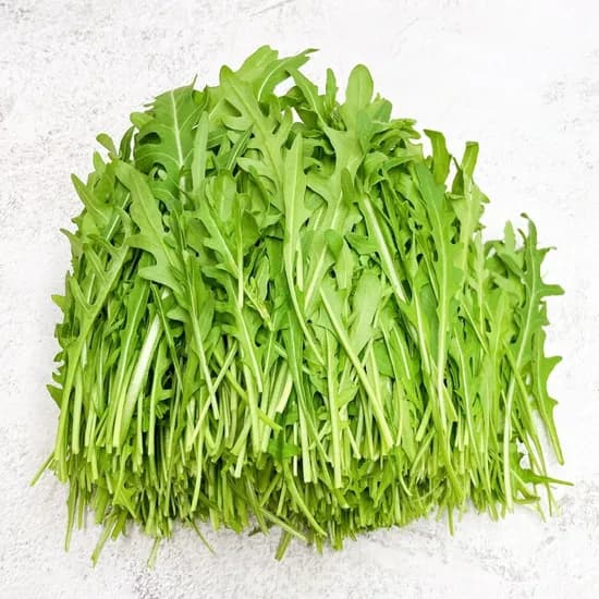 그린팜 와일드루꼴라, 250g, 1개 그린팜 와일드루꼴라, 250g, 1개